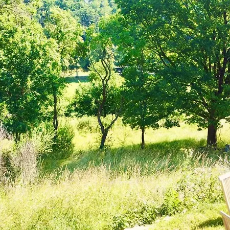 Tinyhouse Minimalus Panorama Schlafloft Im Gruenen * Dessighofen